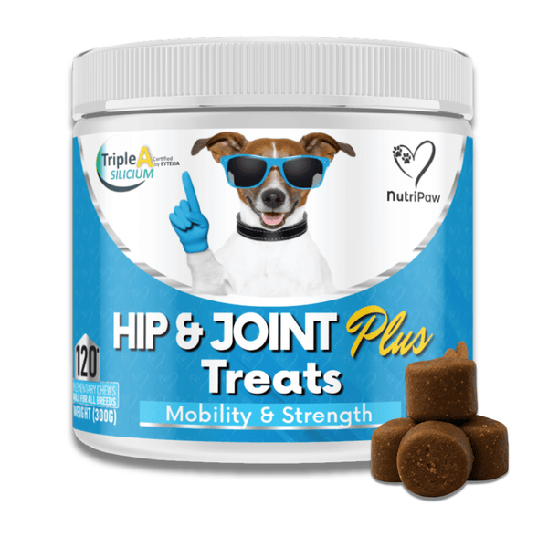 Mobility+ - Supporto quotidiano per articolazioni, mobilità e vitalità del tuo cane.